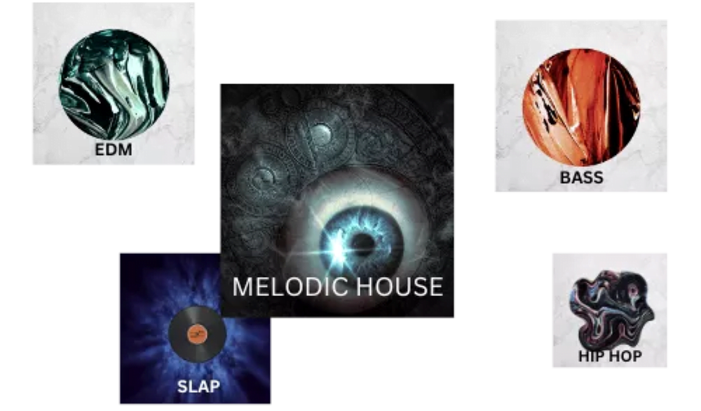 A central image labeled "Melodic House" surrounded by four smaller circle images labeled "EDM," "Bass," "Slap," and "Hip Hop." This visual layout forms a cohesive sample bank, integrating diverse genres seamlessly.